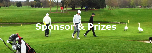 Sponsor & Prizes